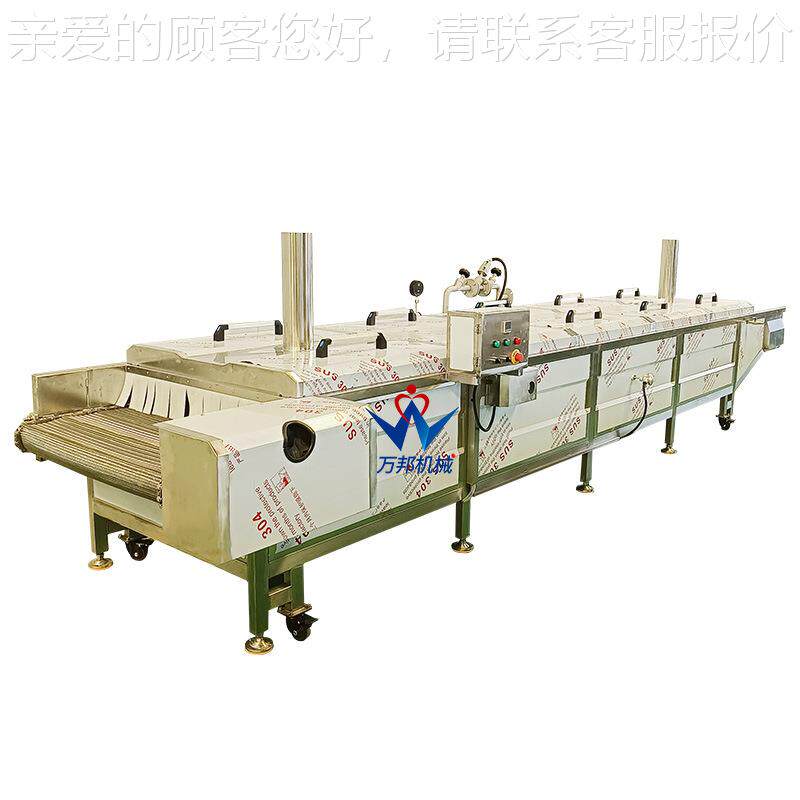 厂家供应隧道式鲜CCS苗条制蒸煮制机槟榔蒸蒸机多隧道蒸层制机