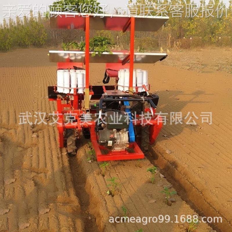 18-50拖拉机栽ACME-4A苗机蔬菜移栽苗机蔬菜苗机移匹栽栽器