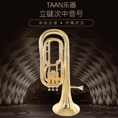 TAAN 降B调三立键次中音号乐器/巴立东/大号/小抱号初学乐团演奏