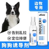 边牧专用狗狗上厕所诱导剂大小便定点排便入厕训厕液宠物幼犬用品