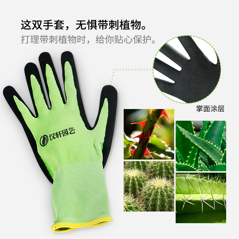 汉轩 园艺手套园林多功能加厚防护手套拔草透气浸胶涂掌劳保手套