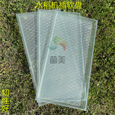 新款9寸水稻育秧盘透气平盘营养种植塑料育苗盘9寸7寸机插软盘