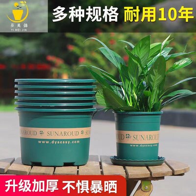 加仑盆加仑花盆大号种菜盆绿萝月季蔷薇加厚大口径塑料盆矮胖盆子