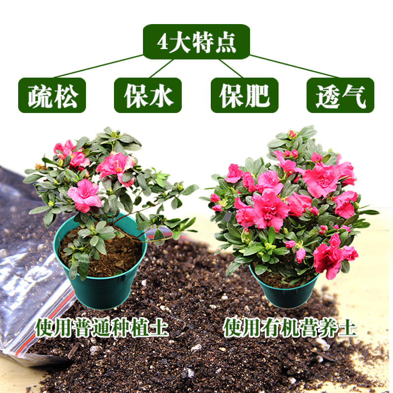 种花养花营养土大包花肥料养花种花土种菜种植土多肉泥土花土土壤