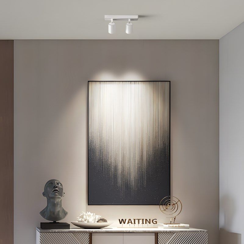 明装射灯可调角度led双头餐桌吸顶灯走廊过道阳台三头防眩筒灯,家装灯饰光源,明装射灯,淘宝优惠券,粉丝福利购,淘宝优惠卷