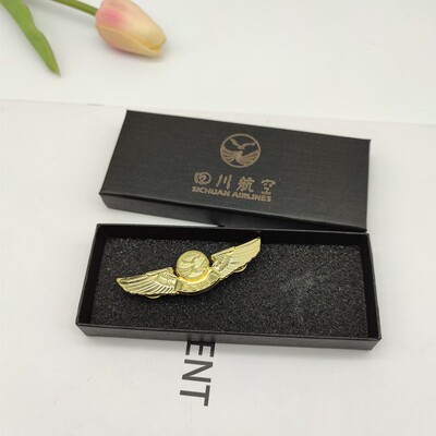 国航南航飞行员制服胸章海航厦航男乘务员空姐航空公司徽章纪念章