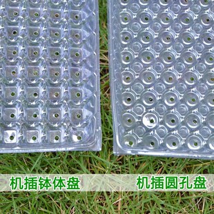塑料水稻育秧盘9寸机插平盘塔式手抛稻苗秧盘谷物育苗盆透明434孔