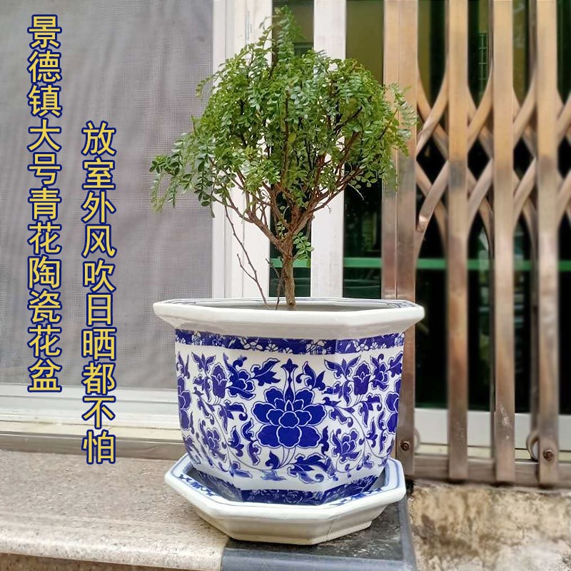 青花瓷大号陶瓷花盆带托盘室内外瓷器盆栽盆景观园林花卉绿植花钵