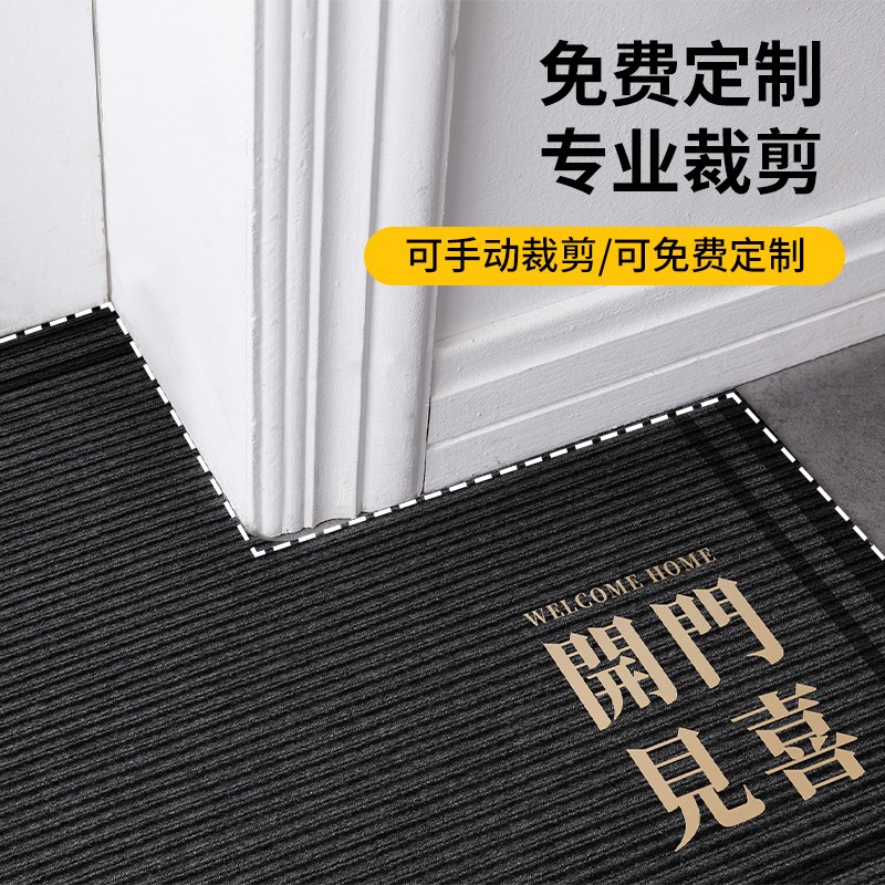 地垫入户门垫进门门口门外脚垫地毯门厅高级入户门2024新款脚踏垫