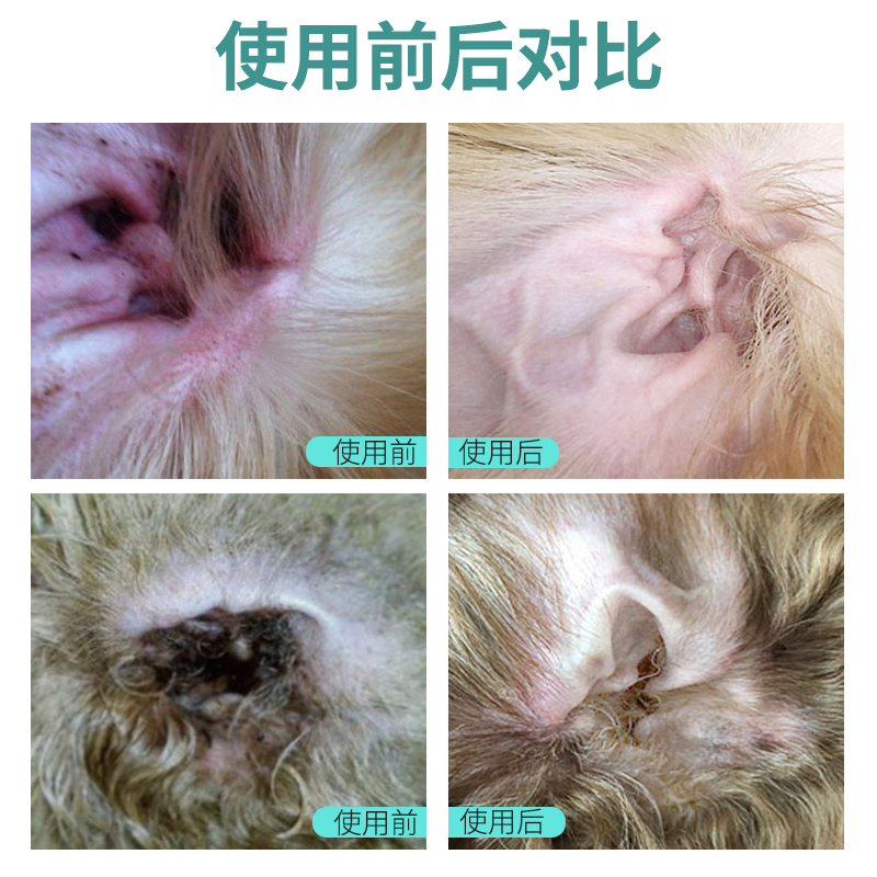 猫咪洗耳液幼猫咪耳朵清洁用品去耳螨泰迪狗狗耳螨滴耳液狗用猫用