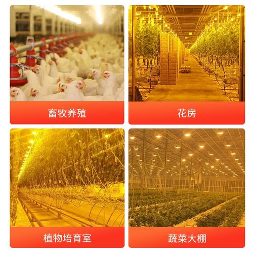 大棚增温灯泡植物蔬菜大棚补光灯冬季太阳灯花卉取暖灯温室红外灯