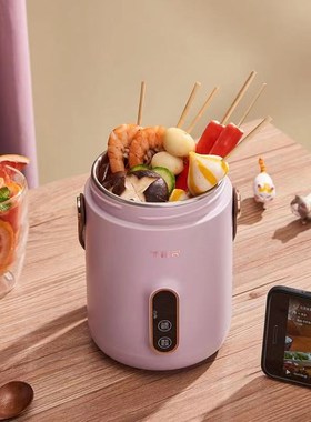 TER小电炖锅煮粥神器家用多功能迷你便携炖煮锅煲汤熬粥宝宝辅食