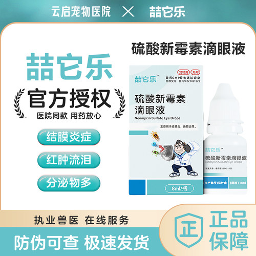 硫酸新霉素滴眼液猫咪狗狗眼睛发炎流泪结膜炎眼肿消炎眼药水