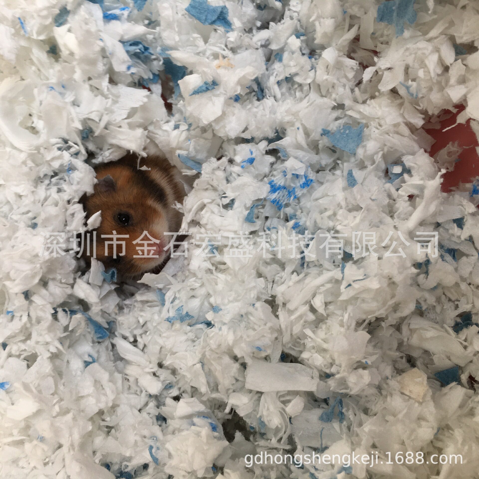 仓鼠纸棉粉碎机金丝熊龙猫小宠物垫料切碎机卫生巾棉木浆纸破碎机