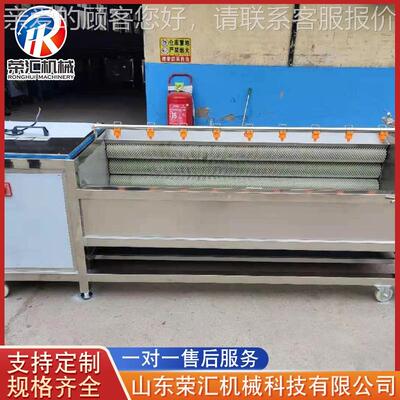 毛刷辊土豆清SXI机 毛海参清洗 海机蛎子药材清洗洗机