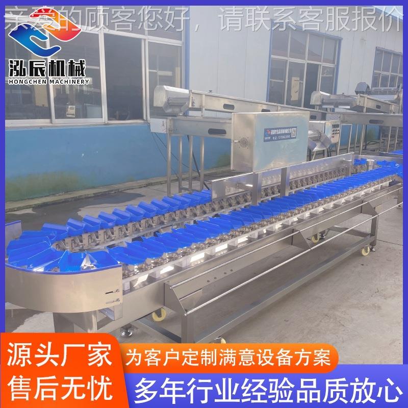 供应鱼肉重量选鱼机牡 海参WVT蛎分级机 分料虾料分选机 可定制