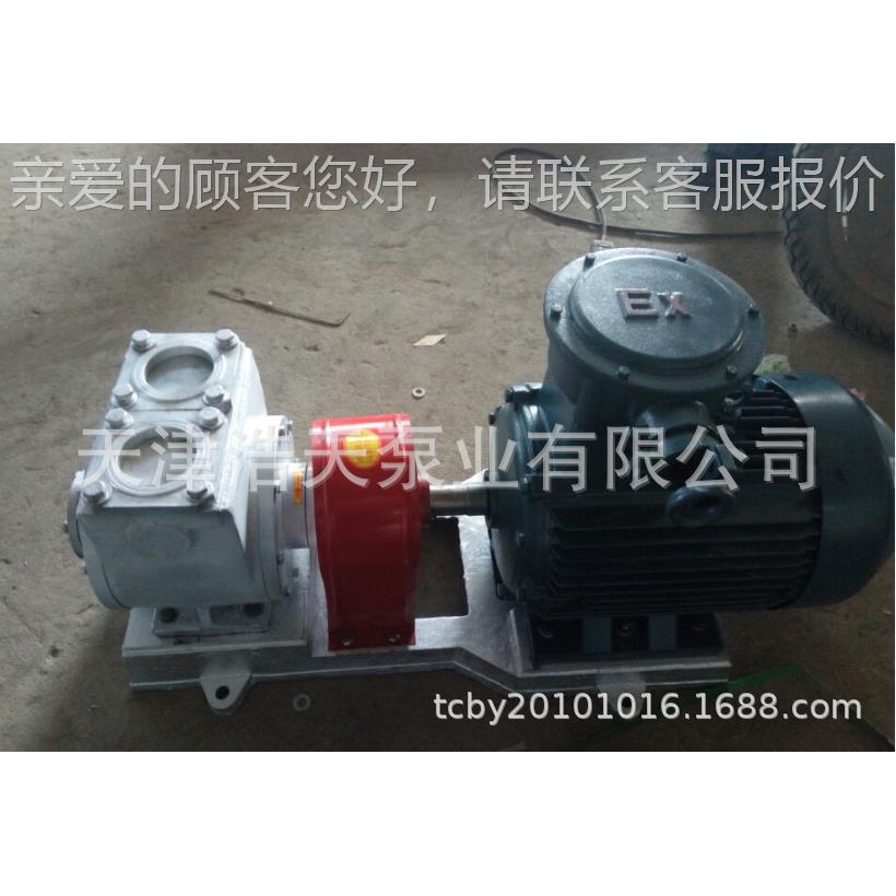 柴油滑片片泵T802DH25 1寸滑泵 防爆滑片泵 24V P1V滑片2泵