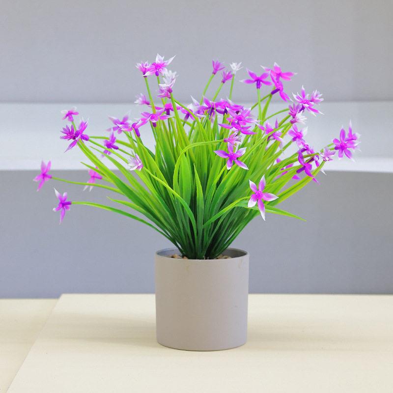 仿真盆栽室内摆放假花卉五角兰花塑料小盆景家居桌面绿植装饰品图片