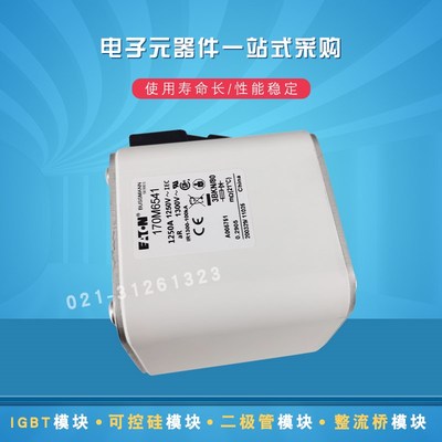 现货快速熔断器保险丝170M6594 6595 6596 6597 6598 6599 6600