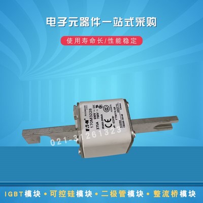 快速熔断器保险丝170M3228 3229 3238 3239 3240 3241 3242 3243