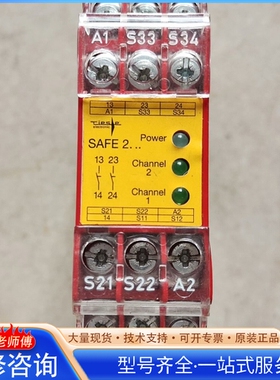 {议价}RIESE 安全继电器