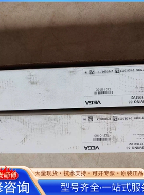 {议价}VEGA 威格 VEGASWING 53 SG53.X