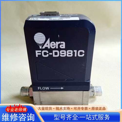 {议价}Aera FC-D981C流量计TC FC-D981SB