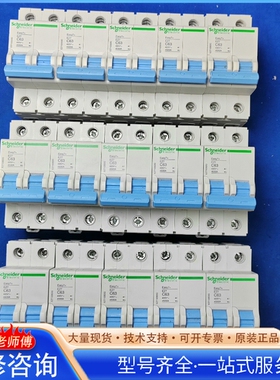 施nai德EZ7/2P63A空开 {议价}