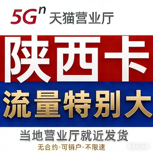 流量卡纯流量上网卡纯上网卡学生用5g不可通话纯上网陕西归属地