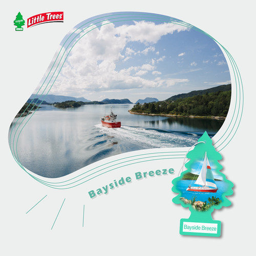 LIttleTrees美国小树香片家装饰