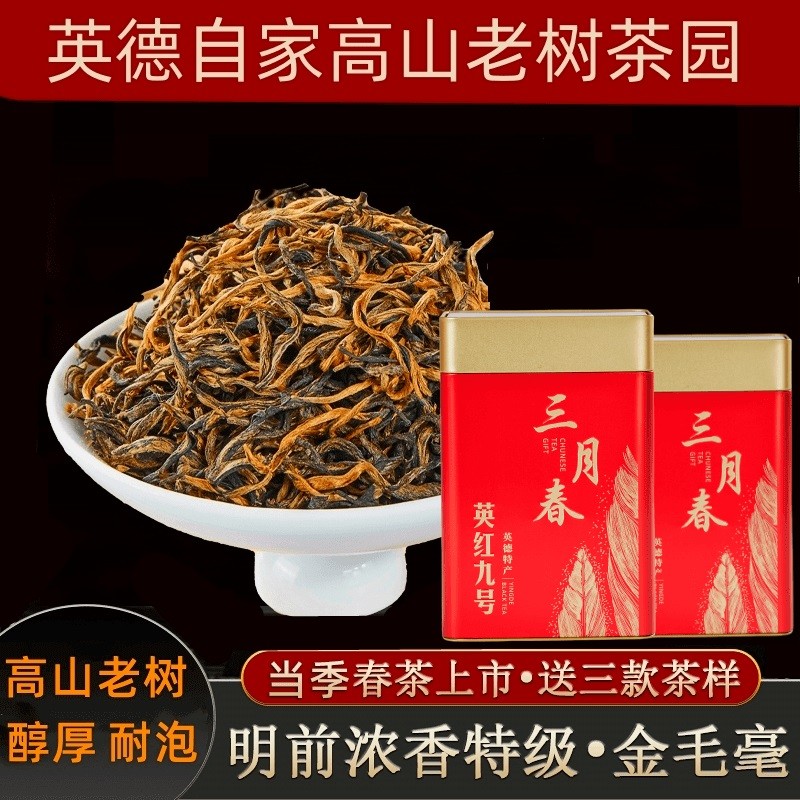 老树春茶正宗英红九号金毛毫特级英德红茶浓香型明前茶新茶醇耐
