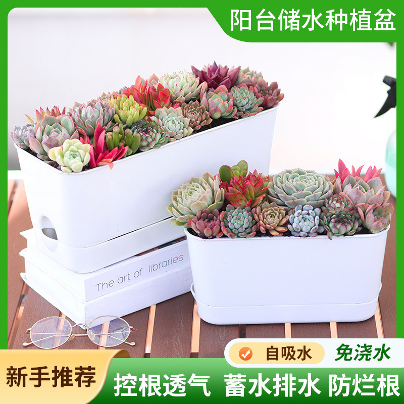 欧林泽花盆长方形花盆简约塑料花盆自吸水多肉专用盆时尚树脂花盆图片