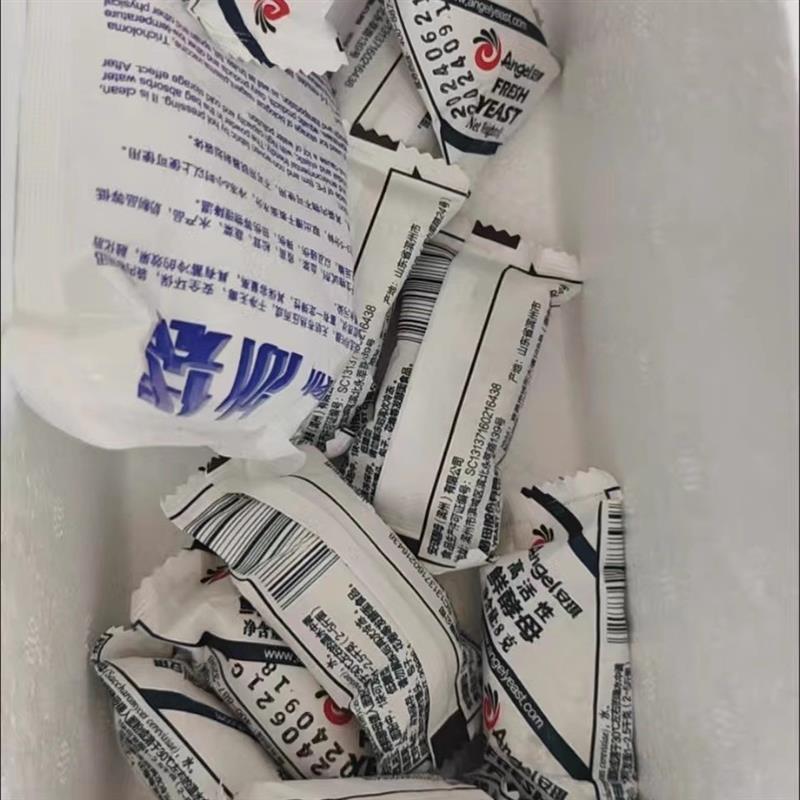 安琪高活性鲜酵母8g发面新鲜湿发酵粉低糖做包子馒头家用小包装