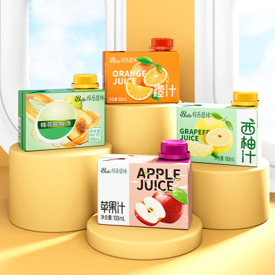 速发稼整箱碧林小果汁饮100ml*24盒装乐混合装橙汁蓝莓西杨梅汁饮