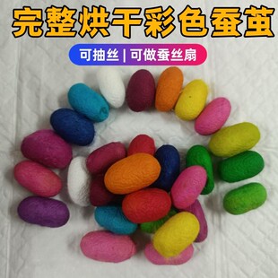 彩色蚕茧可做扇子染色蚕茧可抽丝可做蚕丝扇烘干diy材料