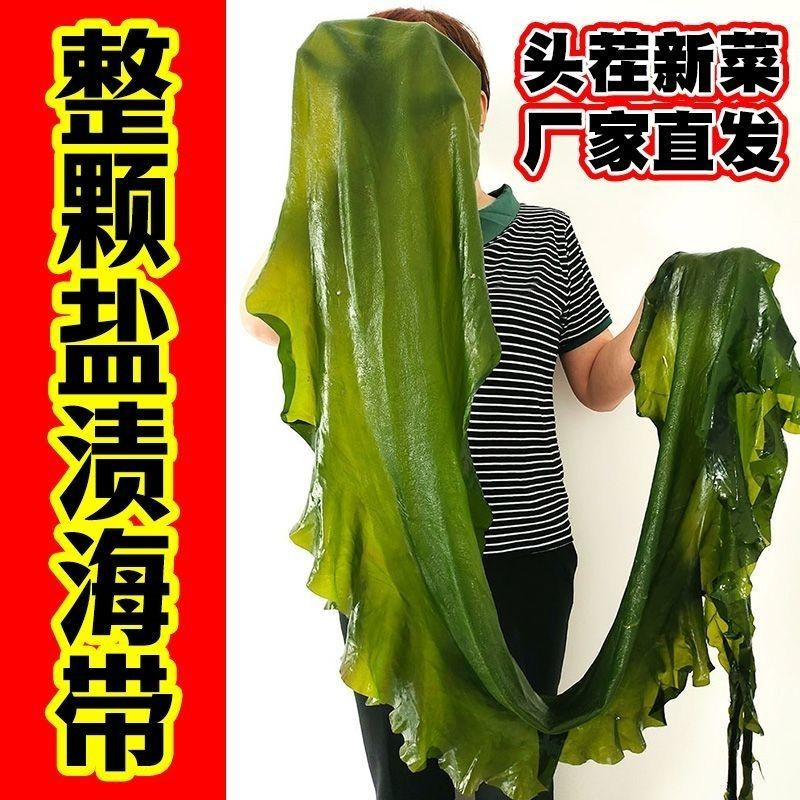 新货新鲜整颗大海带包饭5斤盐渍嫩海带头半干货火锅麻辣烫食材凉
