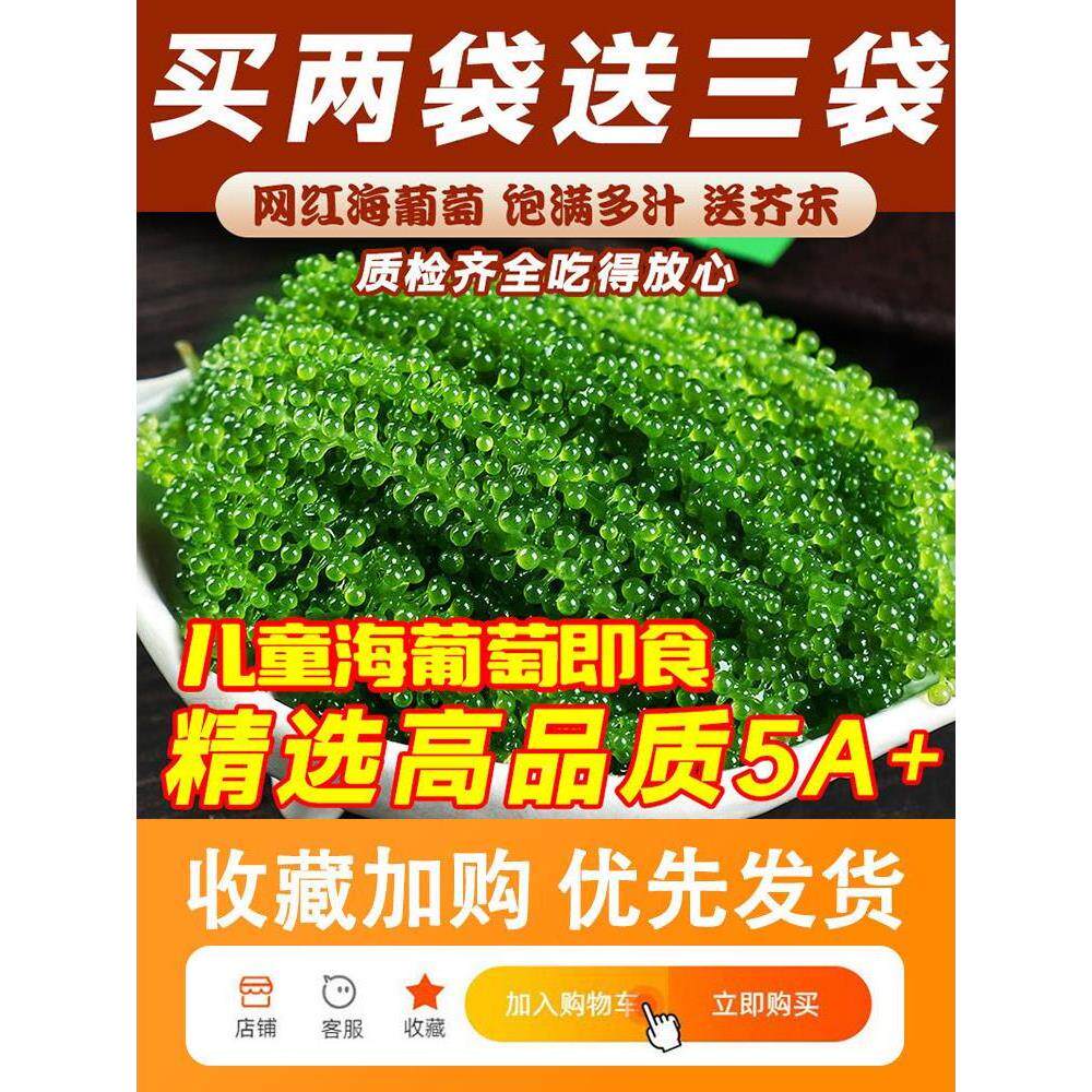 儿童海葡萄即食小孩吃的健康零食新鲜商用凉拌菜干货海带海草海藻