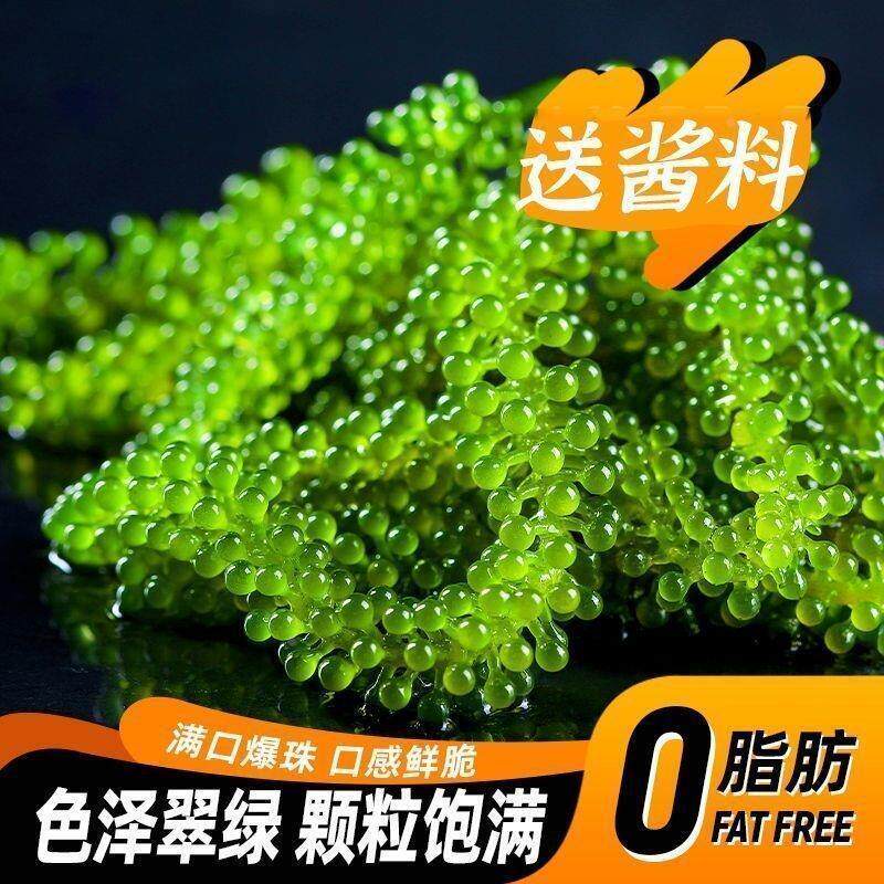 儿童海葡萄绿色鱼子酱即食泡发爆珠零食新鲜盐渍海葡萄央妈推荐