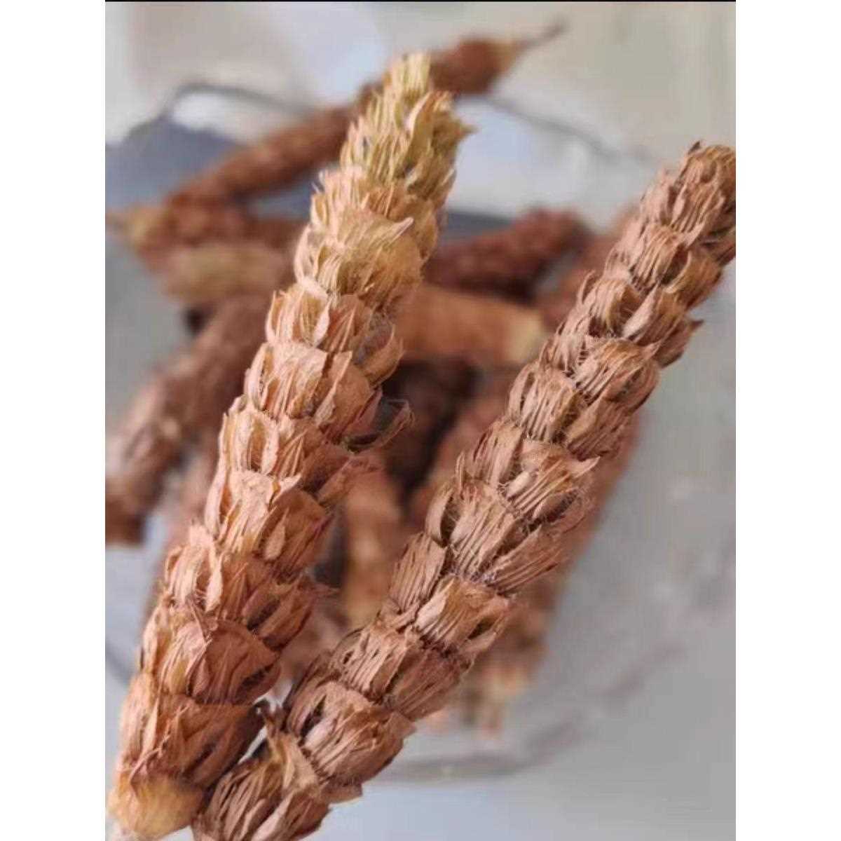 夏枯草优质夏枯球白毛夏枯草夏枯草凉茶原料现货常年大货