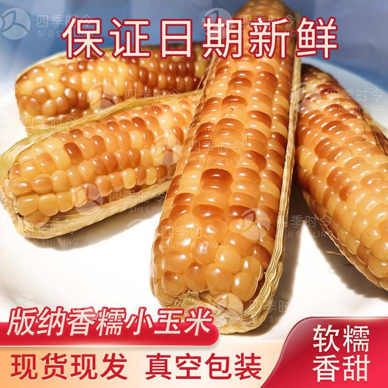 西双版纳香糯小玉米香甜软糯 四季种植 真空即食玉米棒厂家