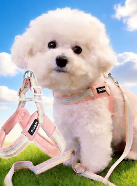 狗狗胸背带夏季透气背心式中小型犬泰迪柴犬撞色狗狗胸背现货批发