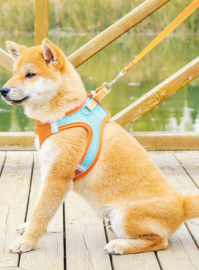 背心式狗狗胸背带夏尼龙宠物牵引绳狗绳链反光遛狗绳反光设计