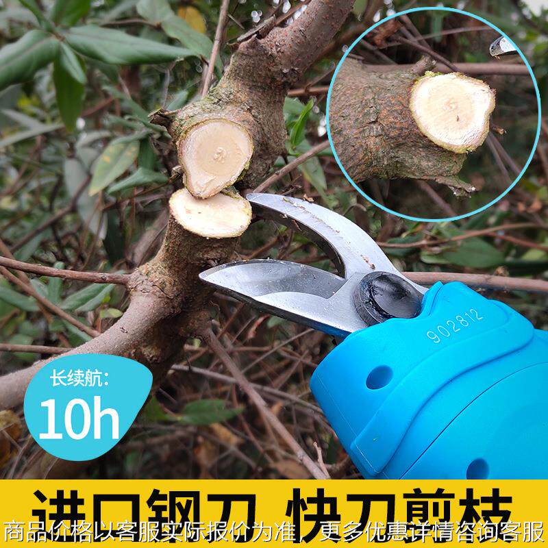 36V电动剪枝机修枝剪果树园林剪刀园艺修剪机充电式枝剪空剪图片
