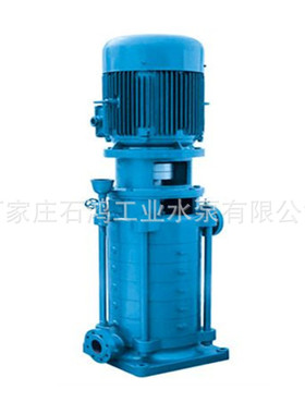 石鸿牌立式多级泵 锅炉给水泵专业选型65DL16X4 型号齐全