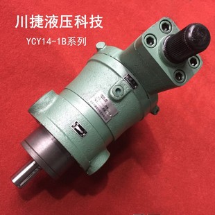 1B柱塞泵YCY系列铸铁轴向柱塞泵精准增压泵加工 长期销售16YCY14