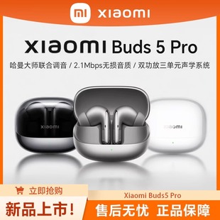 Xiaomi MIUI Pro Buds Fi版 小米 真無線降噪入耳式 藍牙耳機