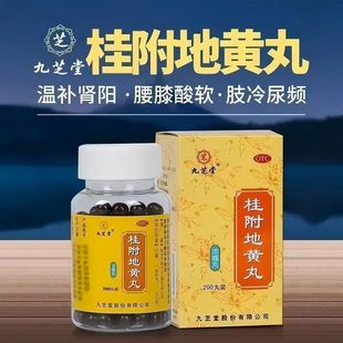 九芝堂桂附地黄丸200丸 正品温补肾阳腰肢酸软男滋阴补肾头晕耳鸣