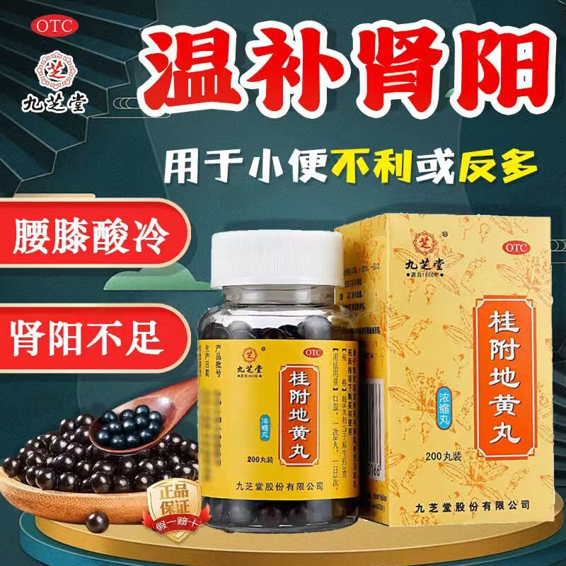 缓解肾阳虚损 腰膝冷痛 温补肾阳九芝堂桂附地黄丸200丸尿频清长