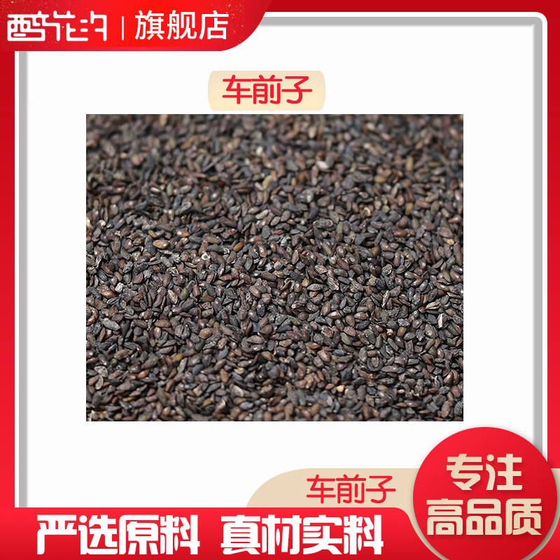 正品优质车前子车钱子车前草籽原材料无硫中药材新货车前实包邮