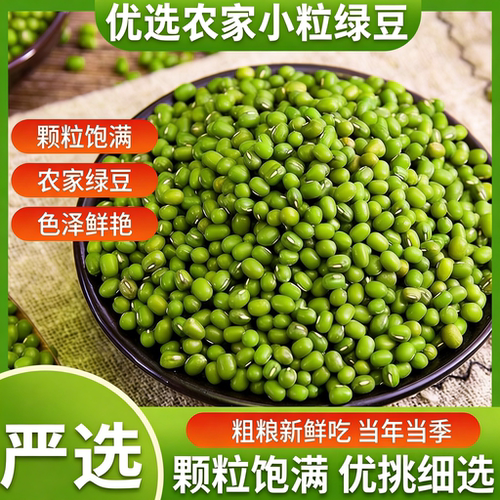 绿豆新货东北农家新鲜小绿豆